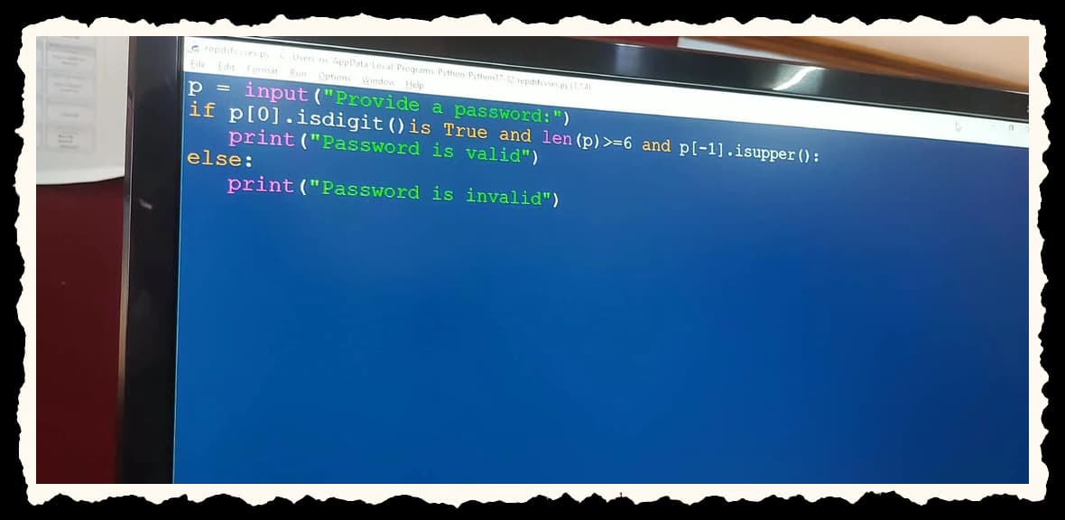 An early Python password checker program